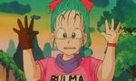 Dragon Ball - Film 1 : La Légende de Shenron