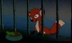 Jungle Jack