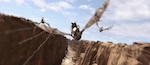 Rango - image 37