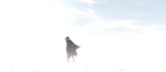 Rango - image 43