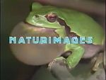 Naturimages